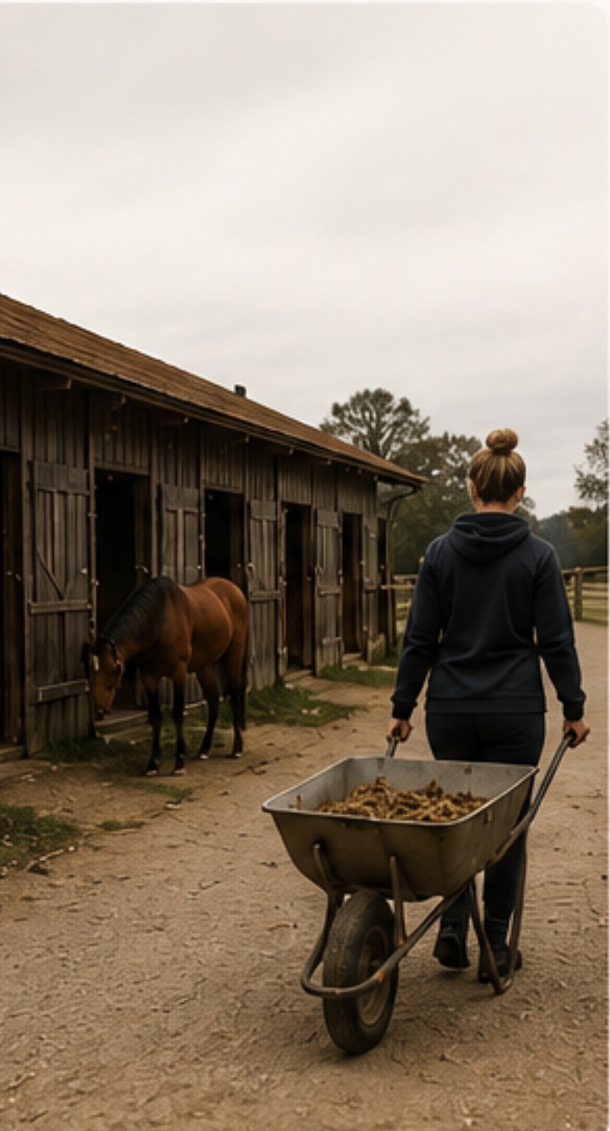 A woman pushing a wheelbarrow past the stables on a quiet yard