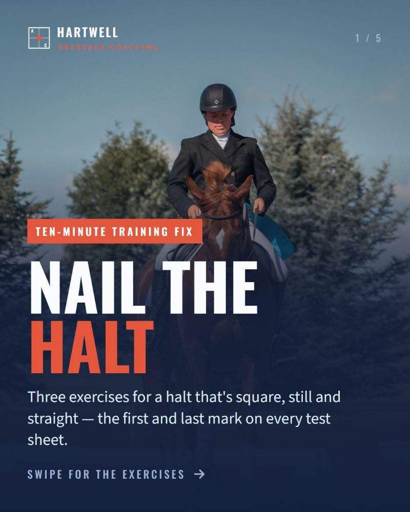 Hartwell Dressage Coaching — Instagram carousel · 5 slides