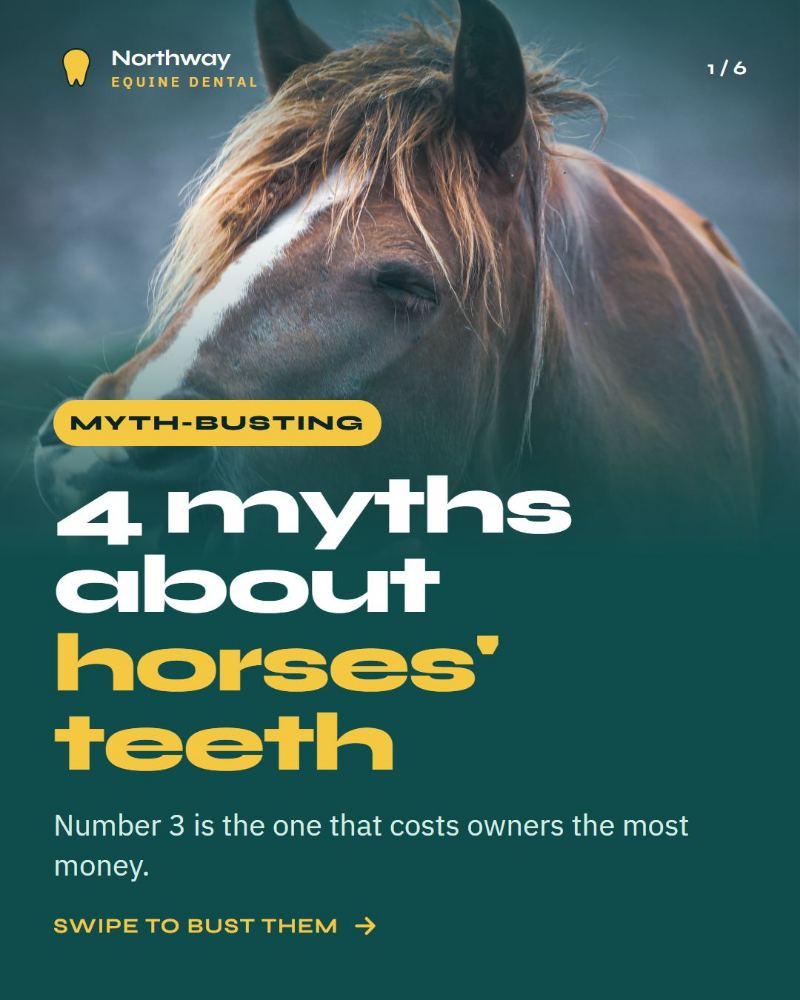 Northway Equine Dental — Instagram carousel · 6 slides