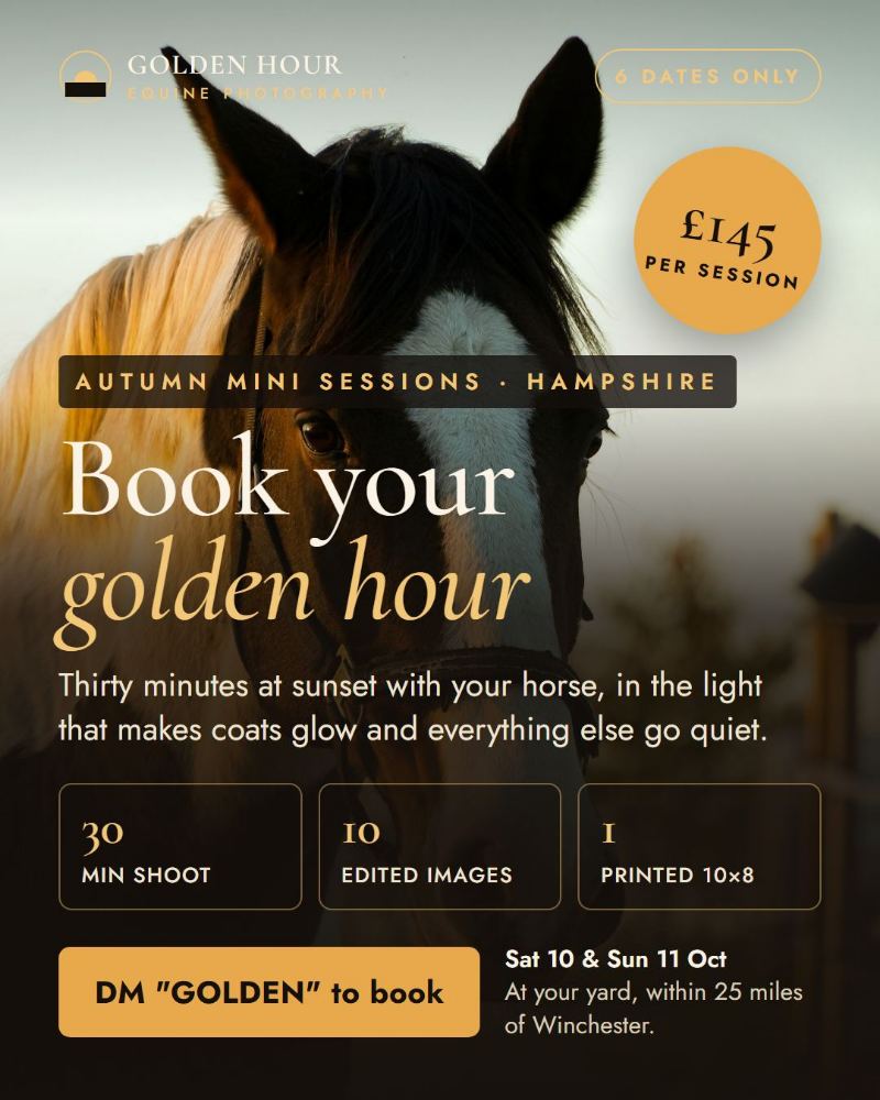 Golden Hour Equine Photography — Instagram single post · offer