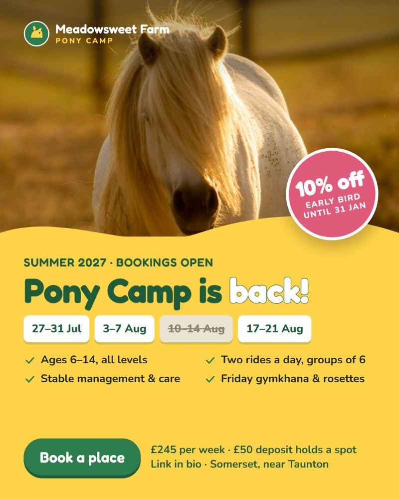 Meadowsweet Farm Pony Camp — Instagram single post · announcement