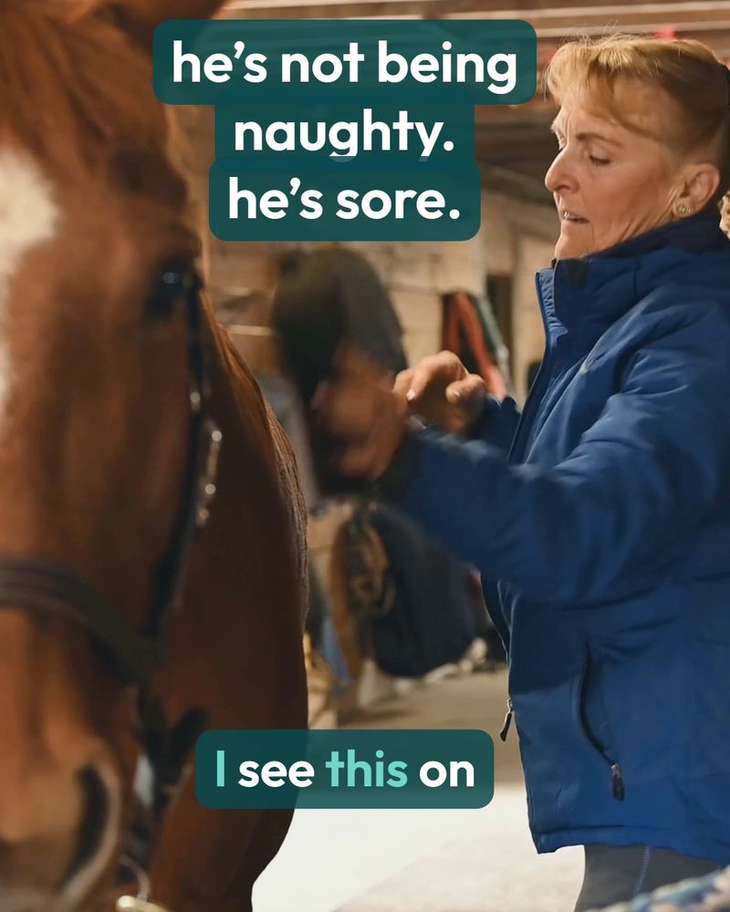 Still Point Equine Massage — Instagram Reel cover