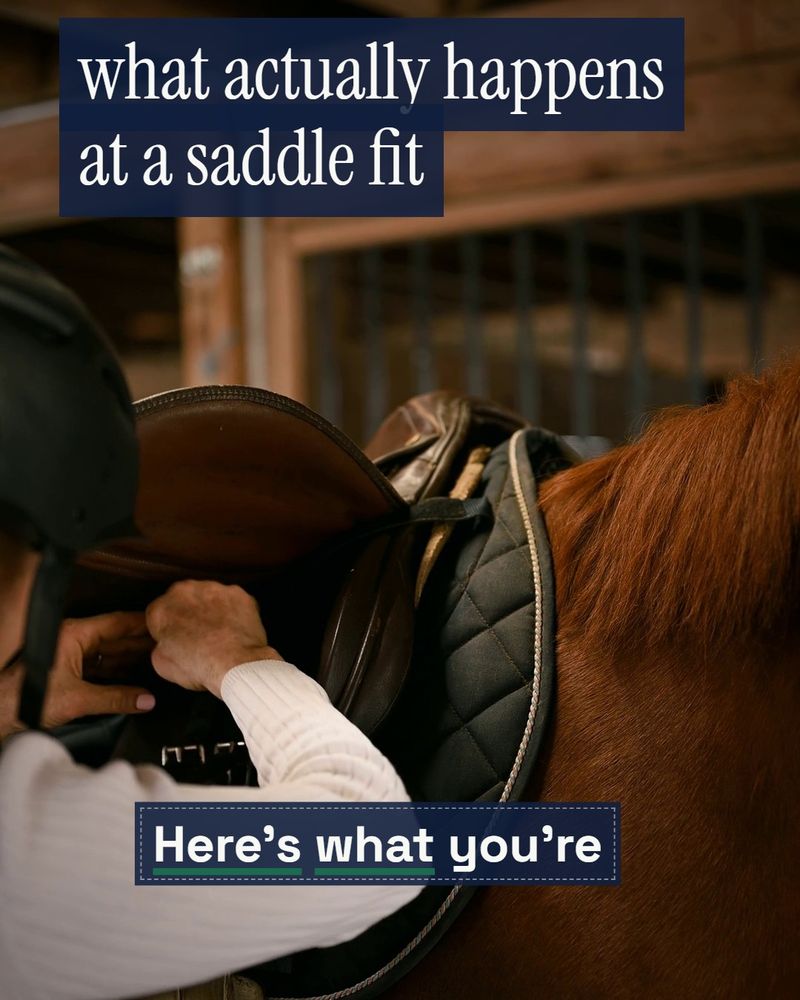 Tree & Panel Saddle Fitting — Instagram Reel cover
