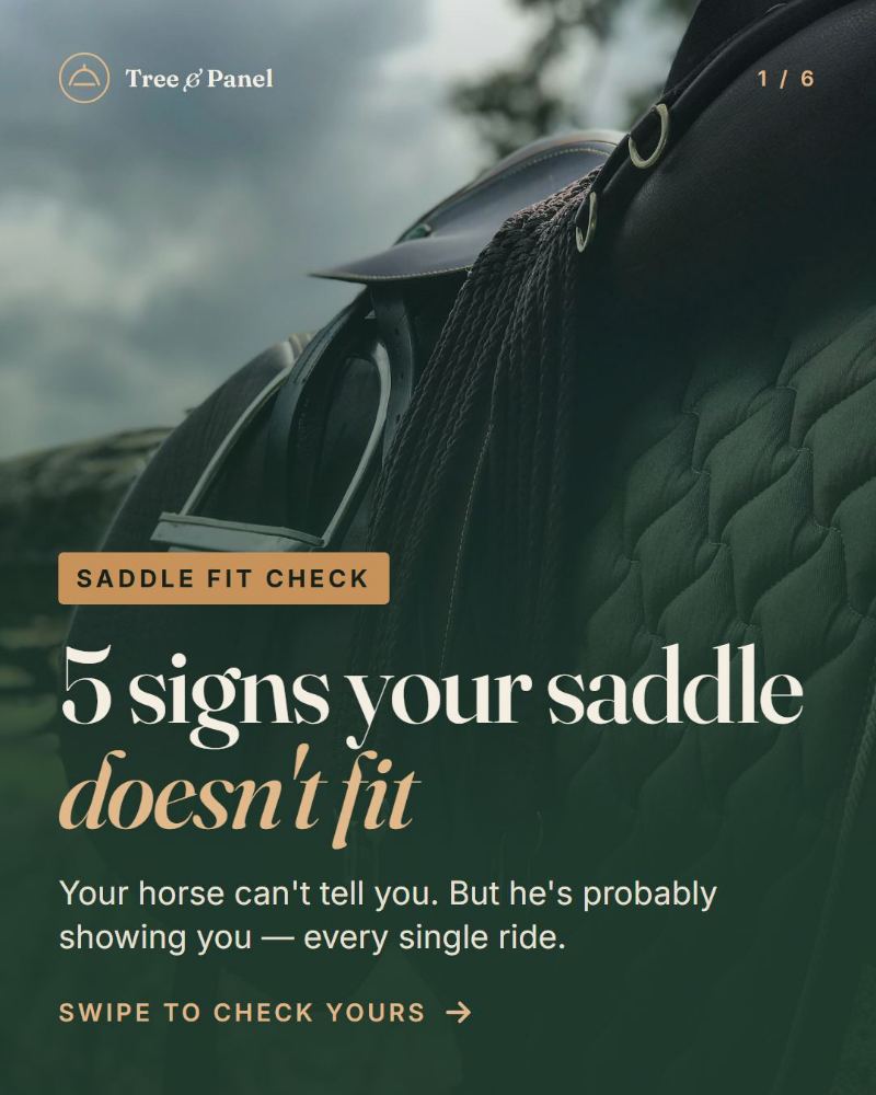 Tree & Panel Saddle Fitting Instagram carousel