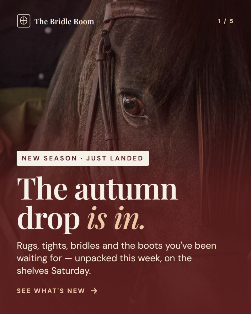 The Bridle Room — Instagram carousel · 5 slides